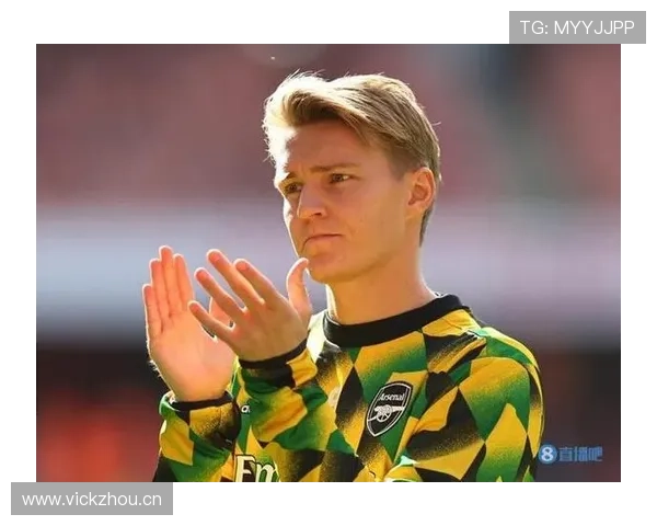 厄德高个人表现与团队成绩的生涯评估